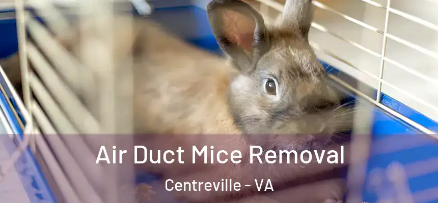  Air Duct Mice Removal Centreville - VA