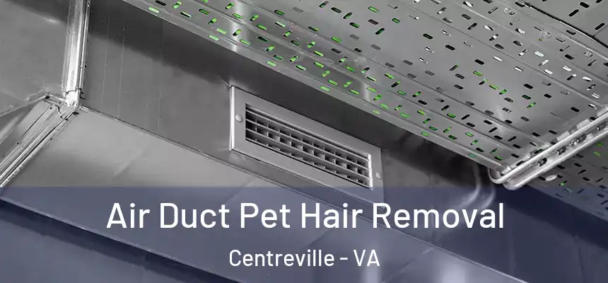 Air Duct Pet Hair Removal Centreville - VA