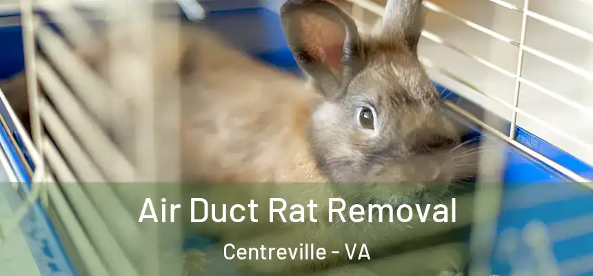  Air Duct Rat Removal Centreville - VA