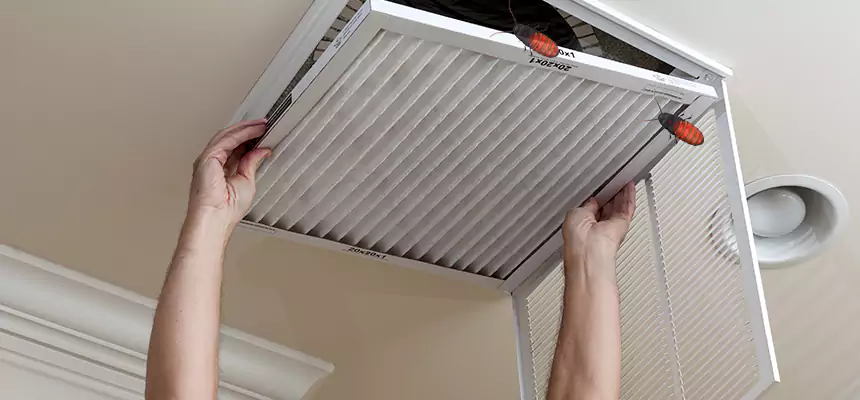 Preventive Cockroach-Proofing for Ducts in Centreville