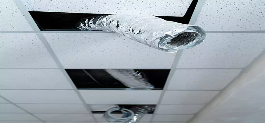 Our Air Duct Pet Hair Removal Services in Centreville, VA