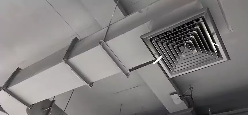 Restorative Allergy Relief Vent Cleaning – Coil, Blower & Housing Detail in Centreville