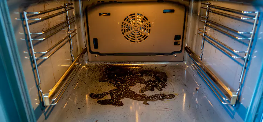 Our Dryer Vent Mold Cleaning Services in Centreville, VA