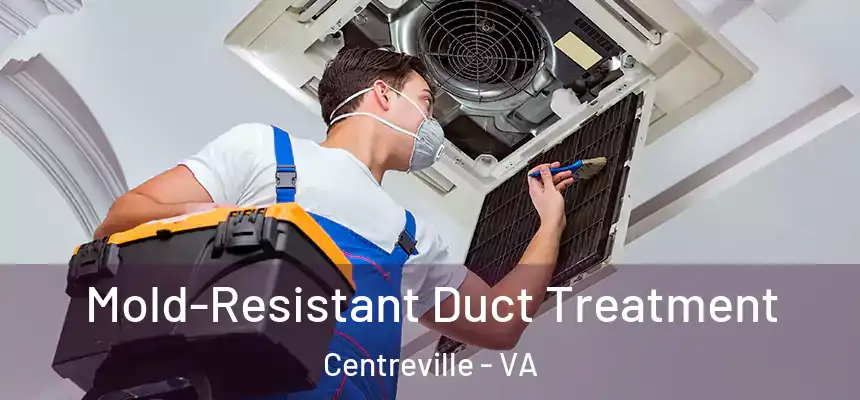  Mold-Resistant Duct Treatment Centreville - VA