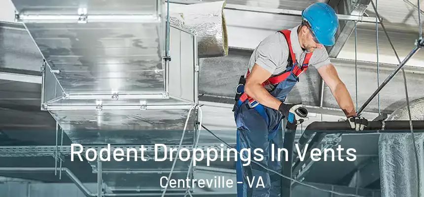  Rodent Droppings In Vents Centreville - VA