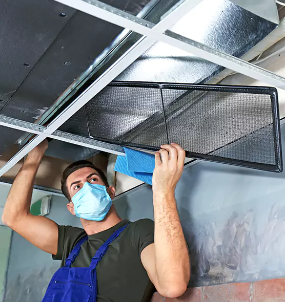 About Air Duct Bacteria Removal in Centreville