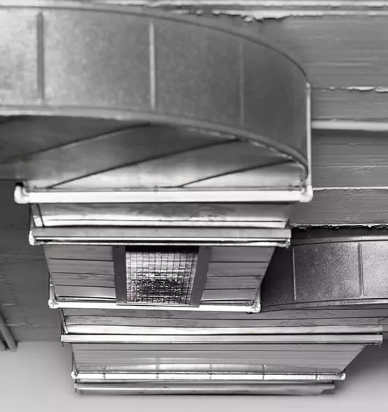 Professional Air Duct Pest Removal in Centreville, VA