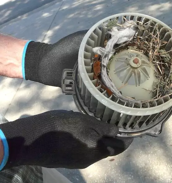 About Air Duct Rat Removal in Centreville, VA