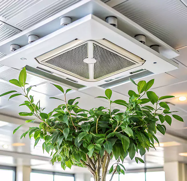 Why Homeowners & Businesses Trust Us in Centreville, VA