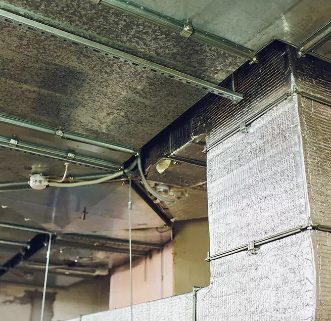 Why Homeowners & Businesses Trust Us in Centreville, VA?